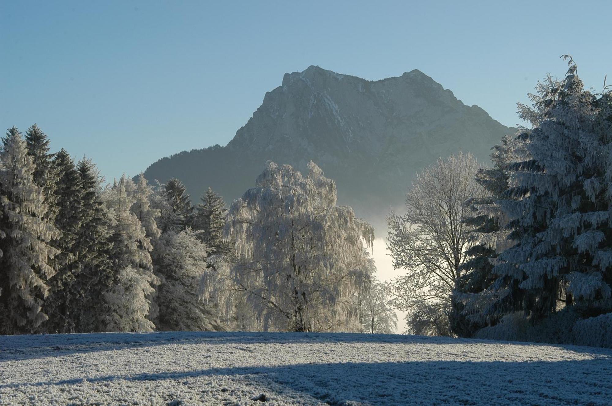 Hotel Altmuensterhof エクステリア 写真